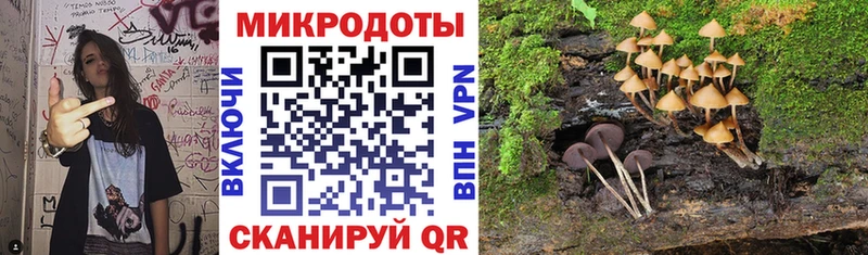маркетплейс наркотические препараты  Хабаровск  Галлюциногенные грибы мухоморы 